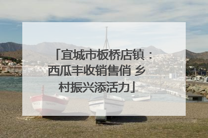 宜城市板桥店镇：西瓜丰收销售俏 乡村振兴添活力
