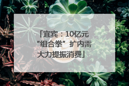 宜宾：10亿元“组合拳”扩内需 大力提振消费