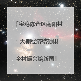 宝鸡陈仓区南阳村：大棚经济结硕果 乡村振兴绘新图