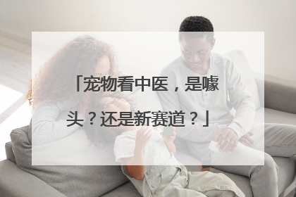 宠物看中医，是噱头？还是新赛道？