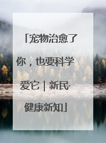 宠物治愈了你，也要科学爱它｜新民·健康新知
