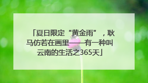 夏日限定“黄金雨”，耿马仿若在画里——有一种叫云南的生活之365天