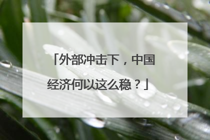 外部冲击下，中国经济何以这么稳？