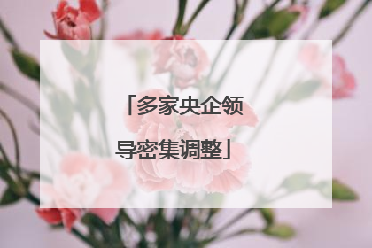 多家央企领导密集调整