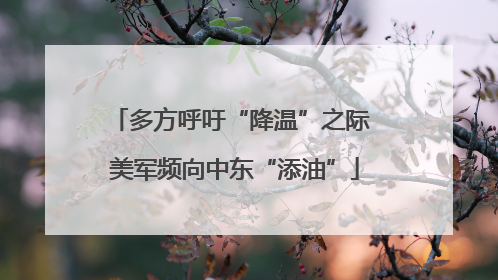多方呼吁“降温”之际 美军频向中东“添油”