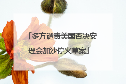 多方谴责美国否决安理会加沙停火草案