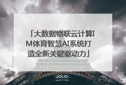 大数据物联云计算IM体育智慧AI系统打造全新关键驱动力
