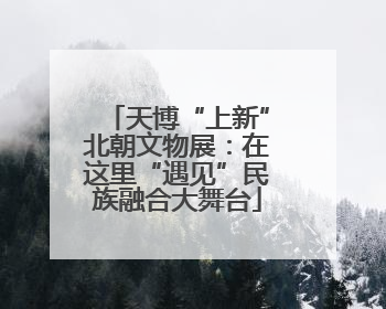 天博“上新”北朝文物展：在这里“遇见”民族融合大舞台