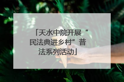 天水中院开展“民法典进乡村”普法系列活动