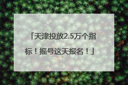 天津投放2.5万个指标！摇号这天报名！