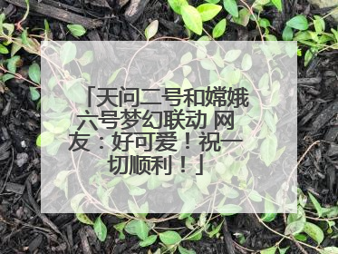 天问二号和嫦娥六号梦幻联动 网友：好可爱！祝一切顺利！