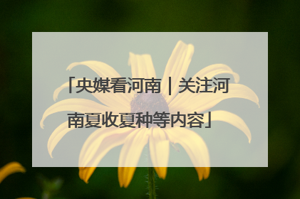 央媒看河南｜关注河南夏收夏种等内容