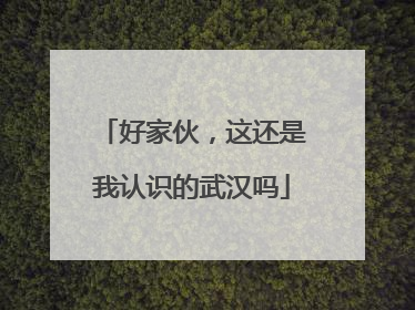 好家伙，这还是我认识的武汉吗