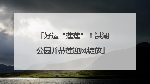 好运“莲莲”！洪湖公园并蒂莲迎风绽放