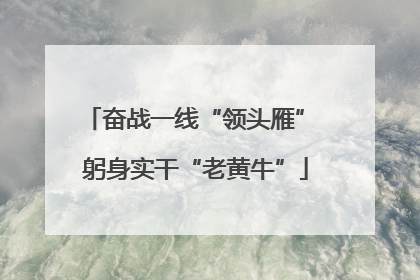 奋战一线“领头雁” 躬身实干“老黄牛”