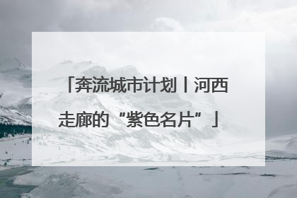 奔流城市计划丨河西走廊的“紫色名片”
