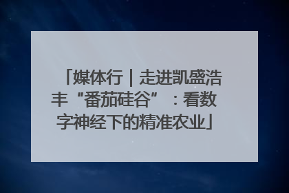 媒体行｜走进凯盛浩丰“番茄硅谷”：看数字神经下的精准农业
