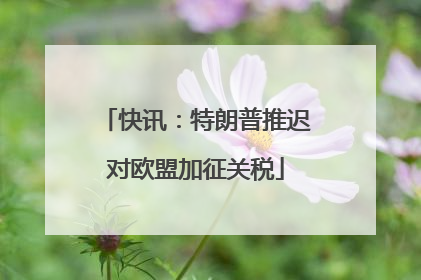 快讯：特朗普推迟对欧盟加征关税