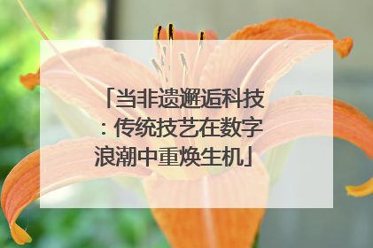 当非遗邂逅科技：传统技艺在数字浪潮中重焕生机