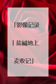 影像记录丨盐碱地上麦收记