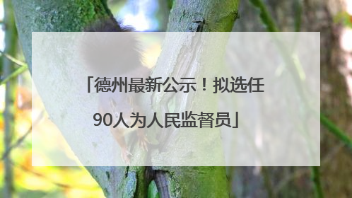 德州最新公示！拟选任90人为人民监督员