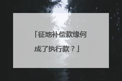 征地补偿款缘何成了执行款？