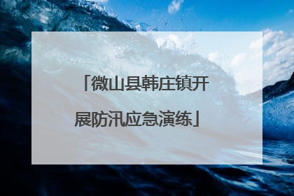 微山县韩庄镇开展防汛应急演练