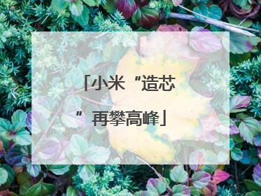 小米“造芯”再攀高峰