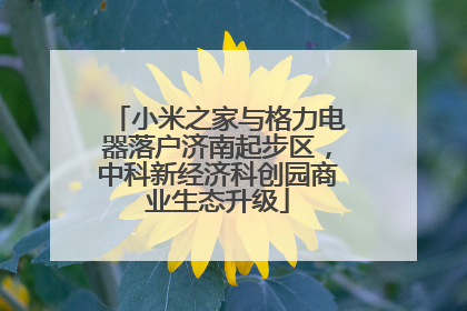 小米之家与格力电器落户济南起步区，中科新经济科创园商业生态升级