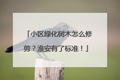 小区绿化树木怎么修剪？淮安有了标准！