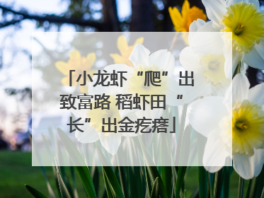小龙虾“爬”出致富路 稻虾田“长”出金疙瘩