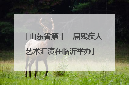 山东省第十一届残疾人艺术汇演在临沂举办