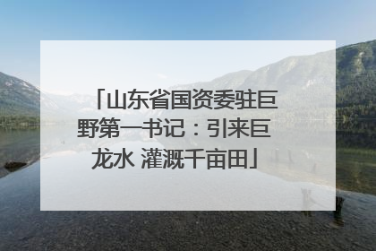 山东省国资委驻巨野第一书记：引来巨龙水 灌溉千亩田