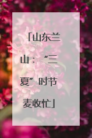 山东兰山：“三夏”时节麦收忙