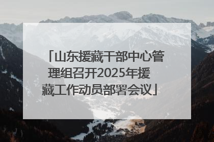 山东援藏干部中心管理组召开2025年援藏工作动员部署会议