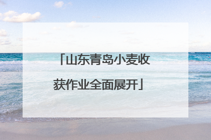 山东青岛小麦收获作业全面展开