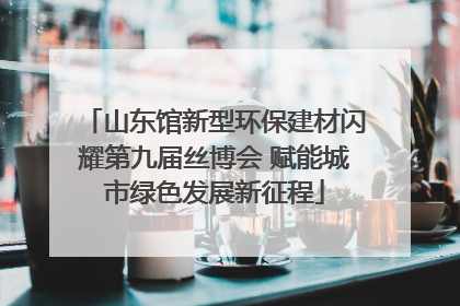 山东馆新型环保建材闪耀第九届丝博会 赋能城市绿色发展新征程