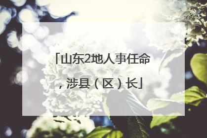 山东2地人事任命，涉县（区）长