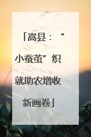嵩县：“小蚕茧”织就助农增收新画卷