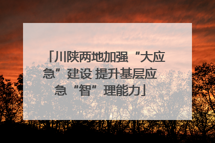川陕两地加强“大应急”建设 提升基层应急“智”理能力