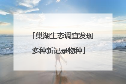 巢湖生态调查发现多种新记录物种