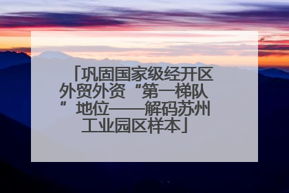 巩固国家级经开区外贸外资“第一梯队”地位——解码苏州工业园区样本