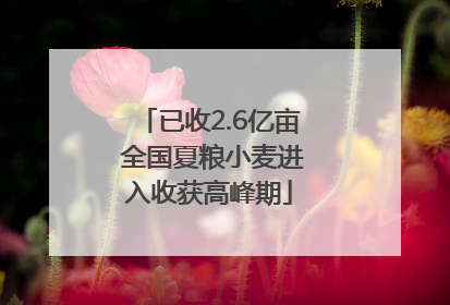 已收2.6亿亩 全国夏粮小麦进入收获高峰期