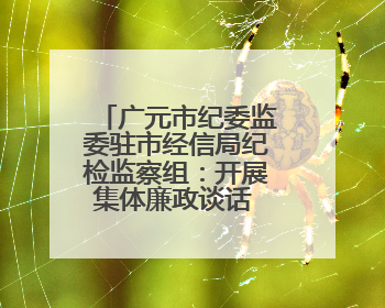 广元市纪委监委驻市经信局纪检监察组：开展集体廉政谈话 敲响廉政警钟