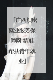 广西织密就业服务保障网 精准帮扶青年就业
