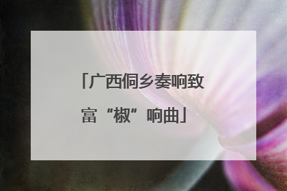 广西侗乡奏响致富“椒”响曲