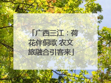 广西三江：荷花伴侗歌 农文旅融合引客来