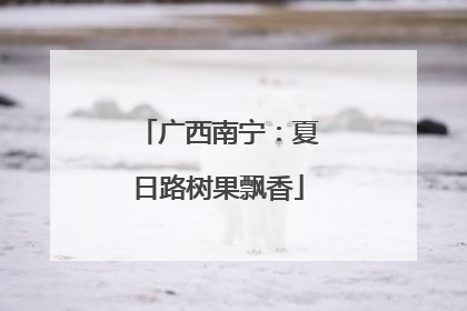 广西南宁：夏日路树果飘香