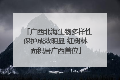广西北海生物多样性保护成效明显 红树林面积居广西首位