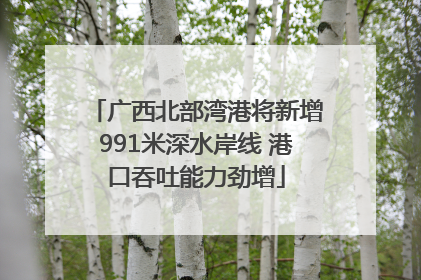 广西北部湾港将新增991米深水岸线 港口吞吐能力劲增